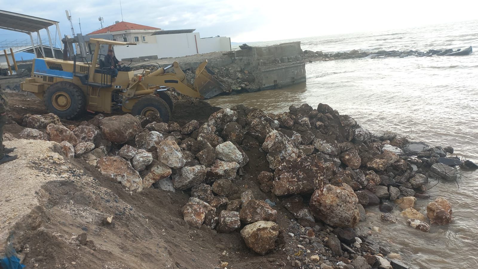 صورة المقالة