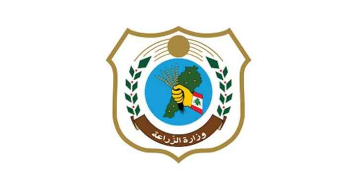 وزارة الزراعة تطلق برنامج توزيع غراس الزيتون مجاناً ضمن خطة دعم وتنمية الزراعة الريفية