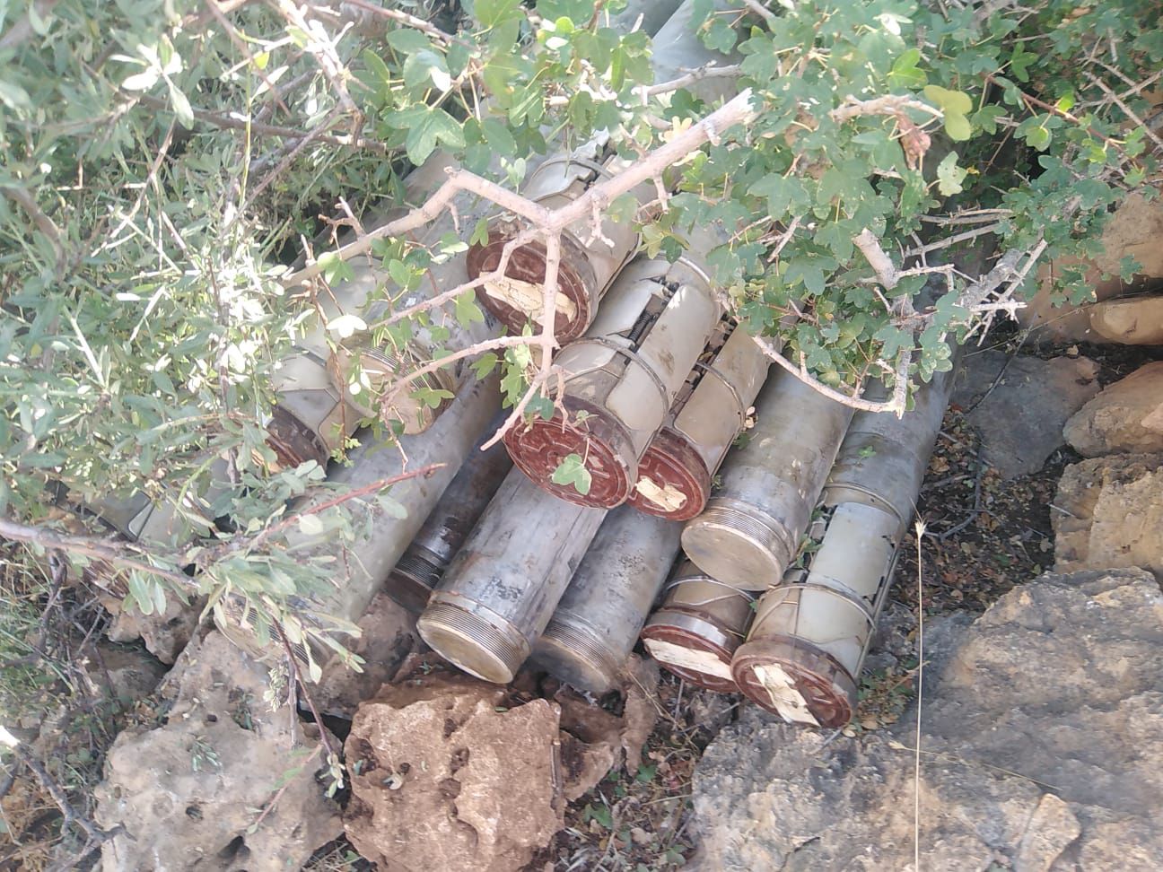 صورة المقالة