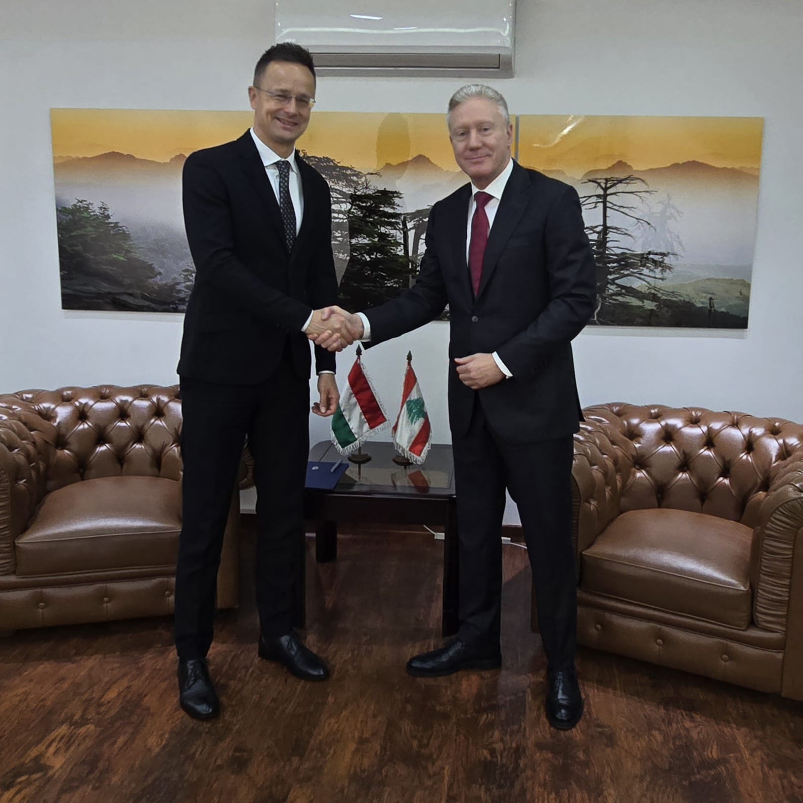 صورة المقالة