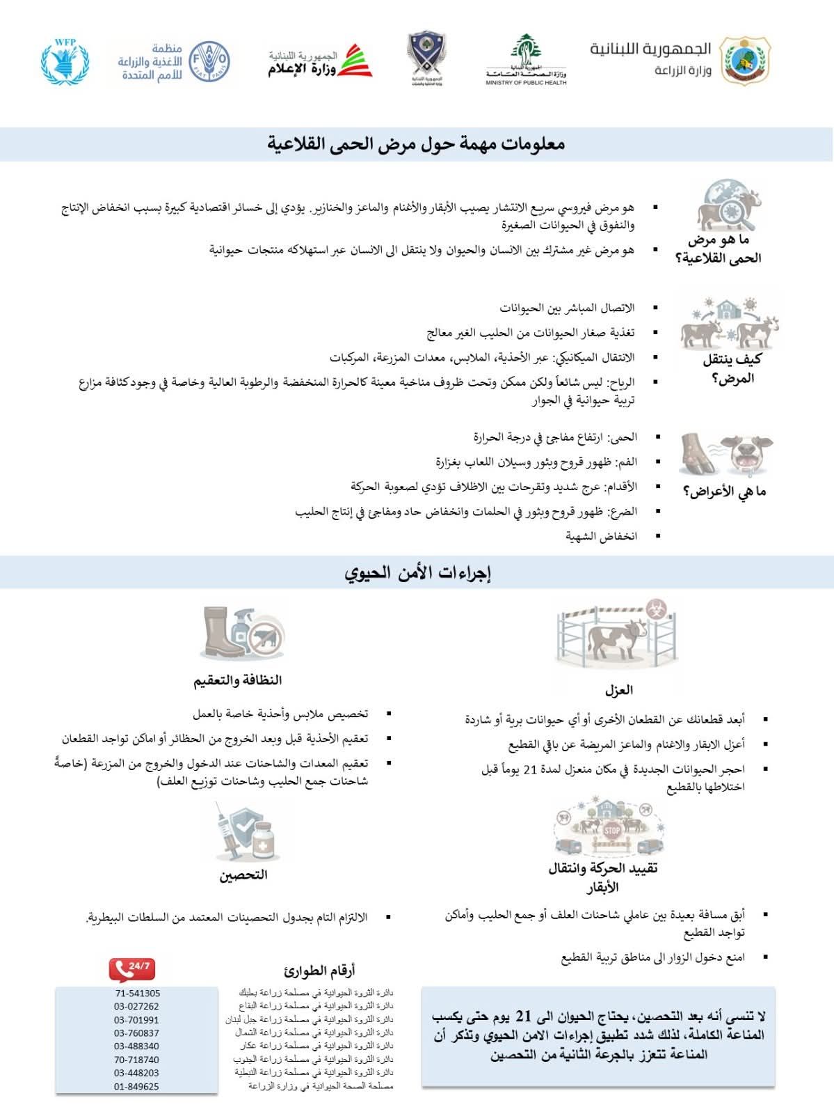 صورة المقالة