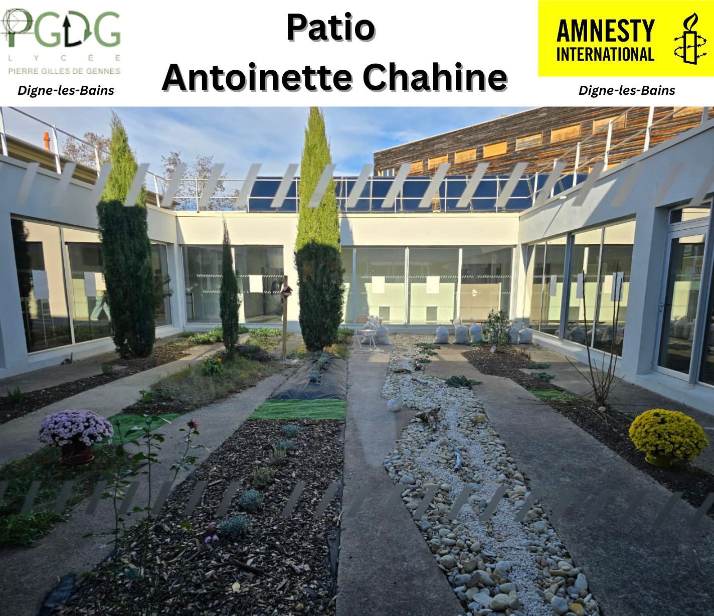 صورة المقالة