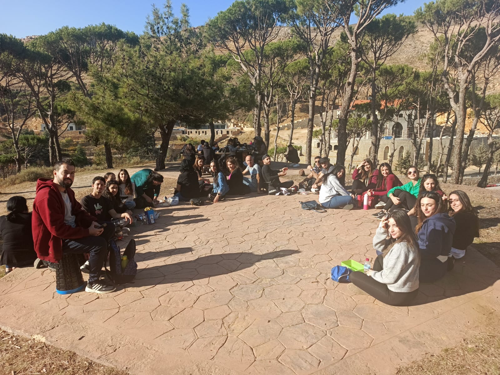 صورة المقالة