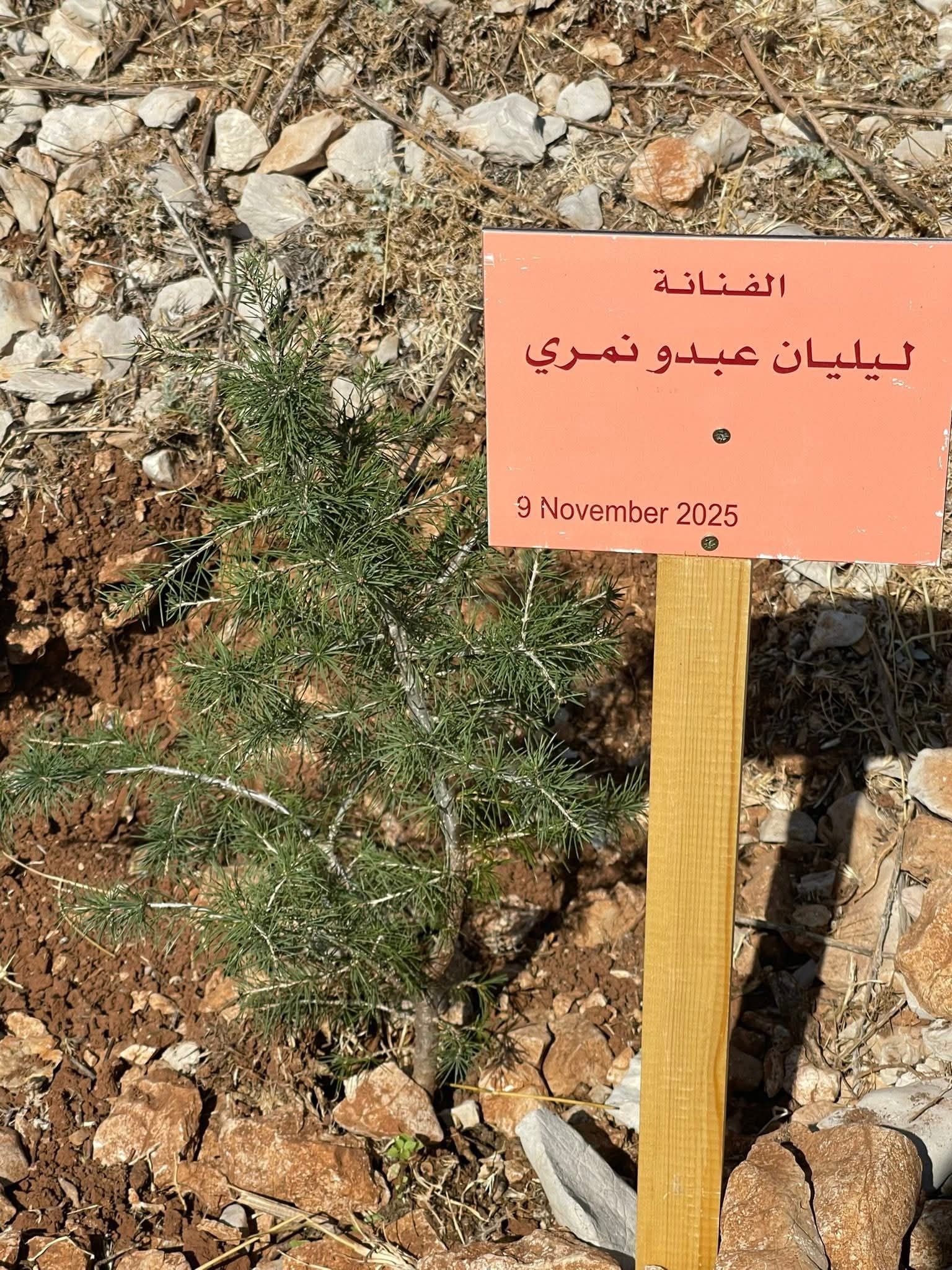 صورة المقالة