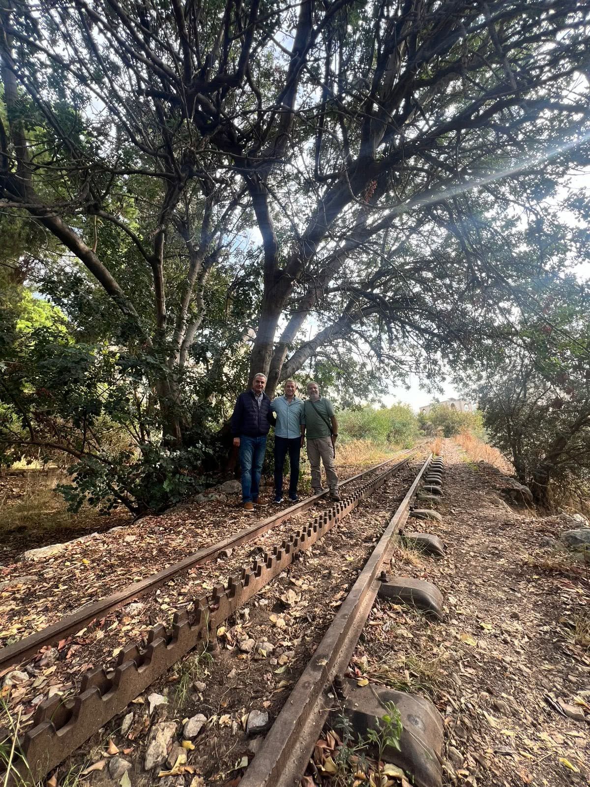 صورة المقالة