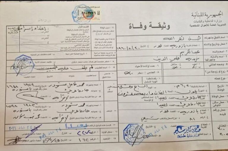 صورة المقالة