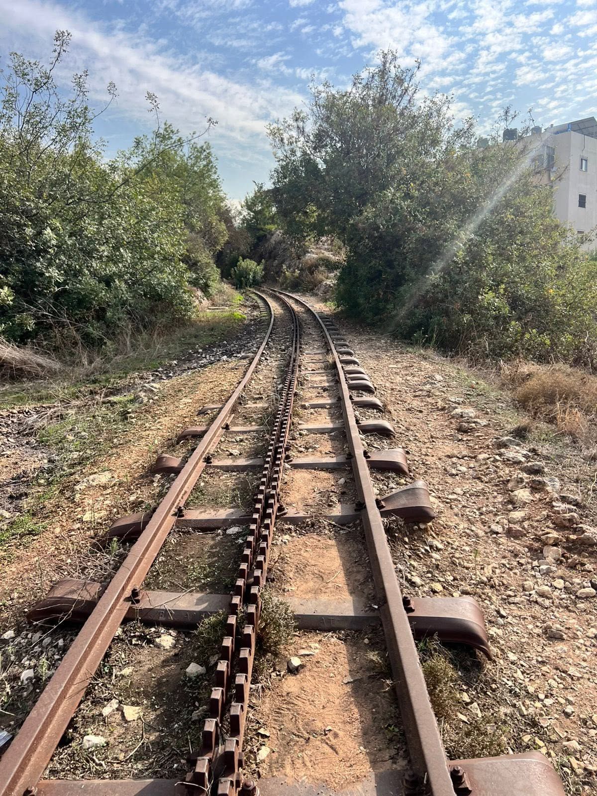 صورة المقالة