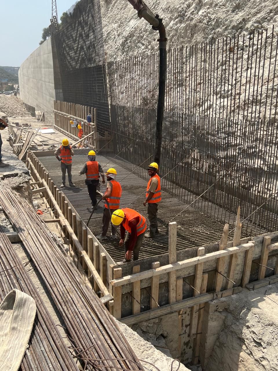 صورة المقالة