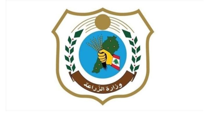 وزارة الزراعة تتحرك لإنقاذ "ذهب لبنان الأخضر"... مشاورات وطنية لتطوير قطاع الزيتون