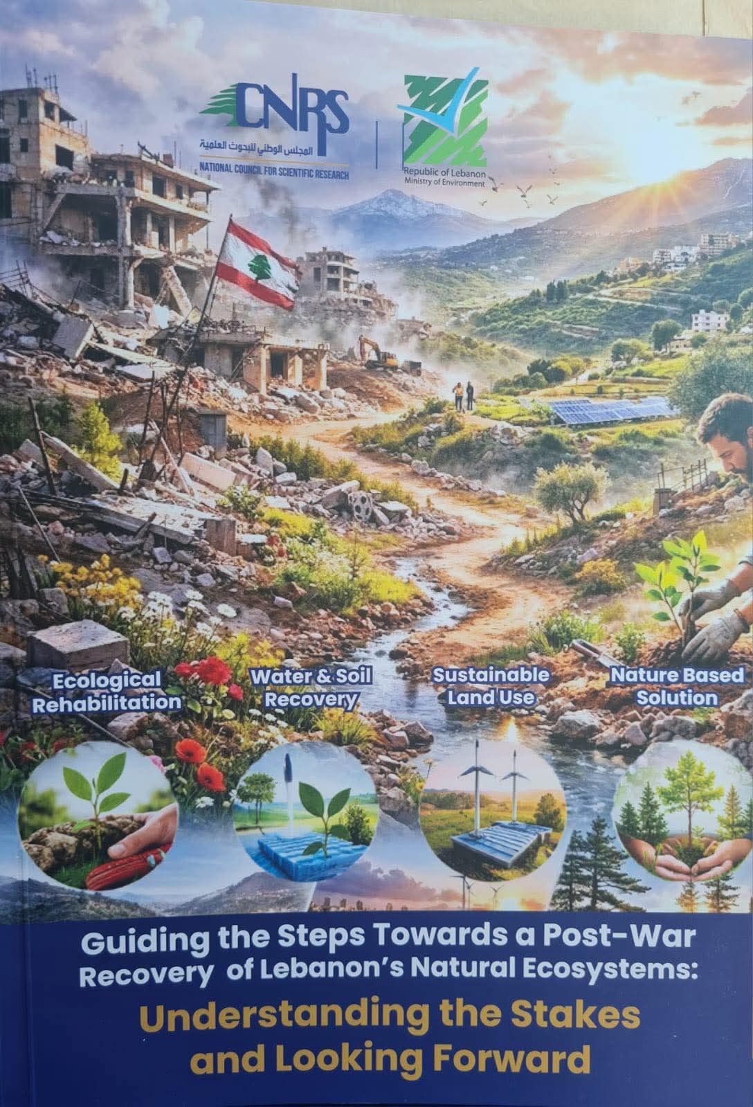 صورة المقالة
