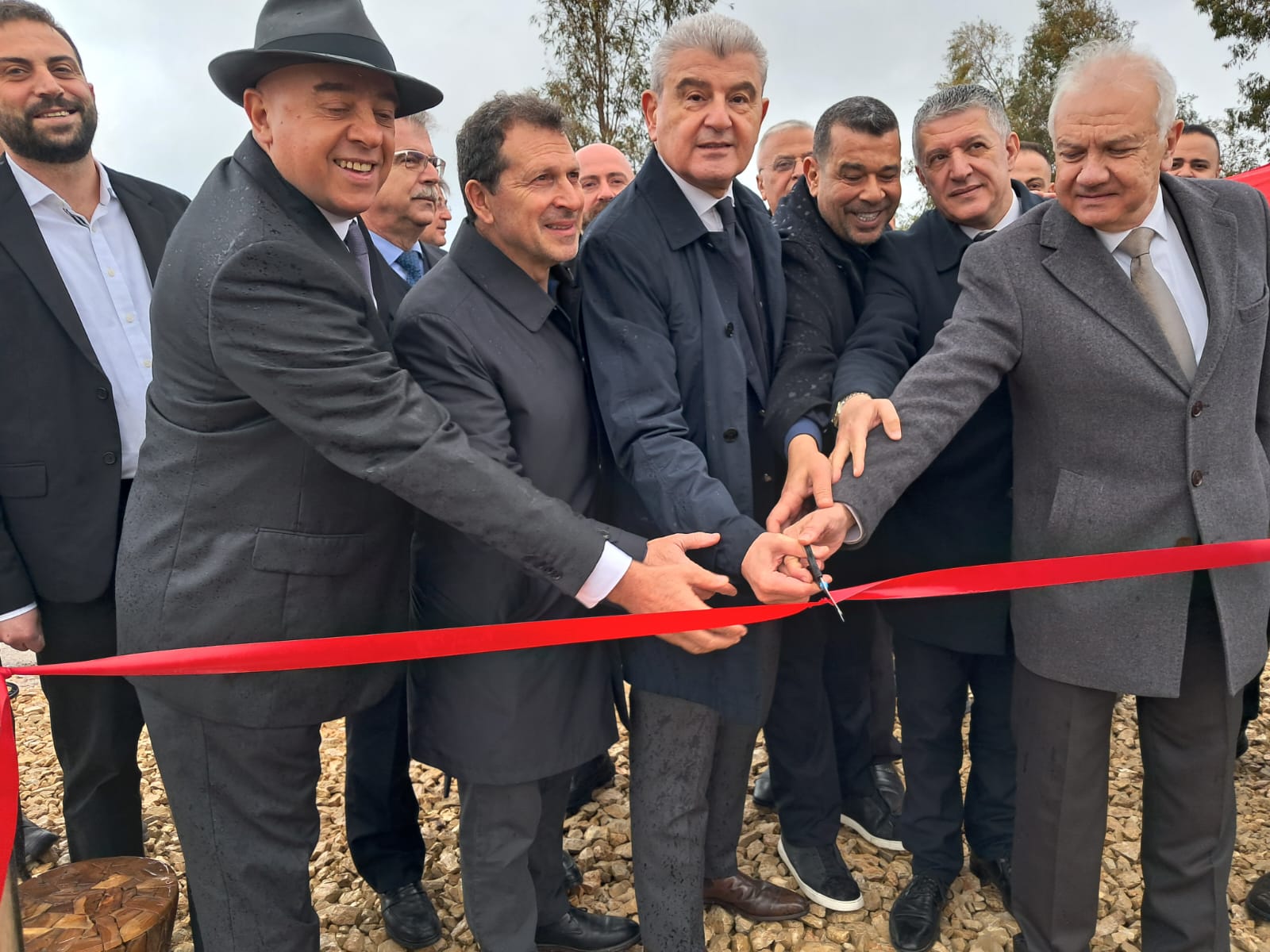 صورة المقالة