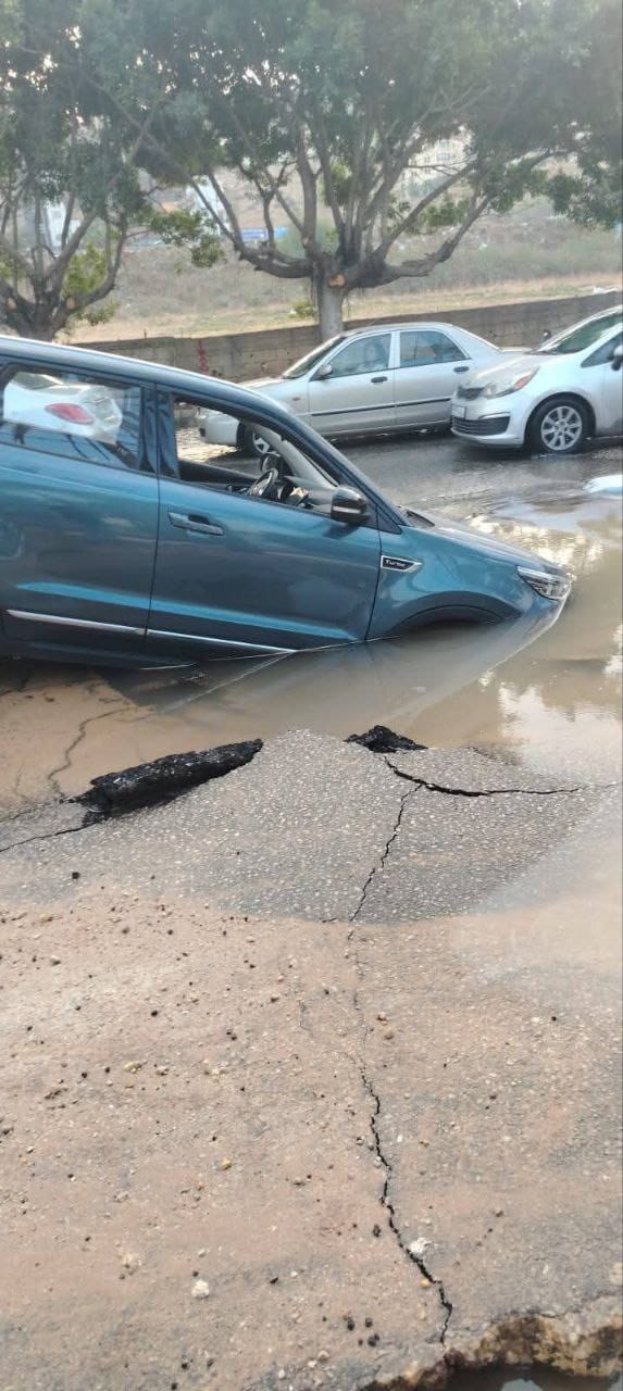 صورة المقالة