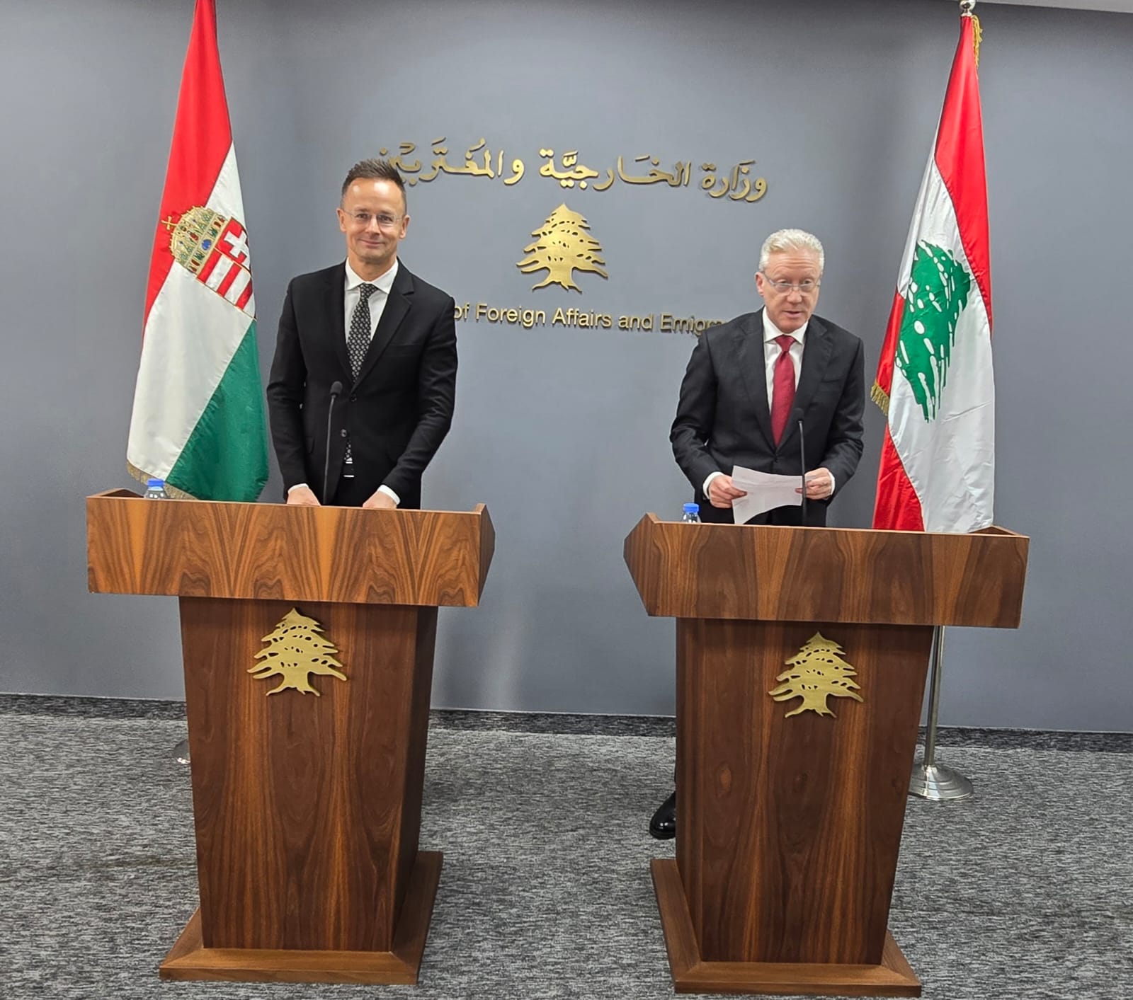 صورة المقالة