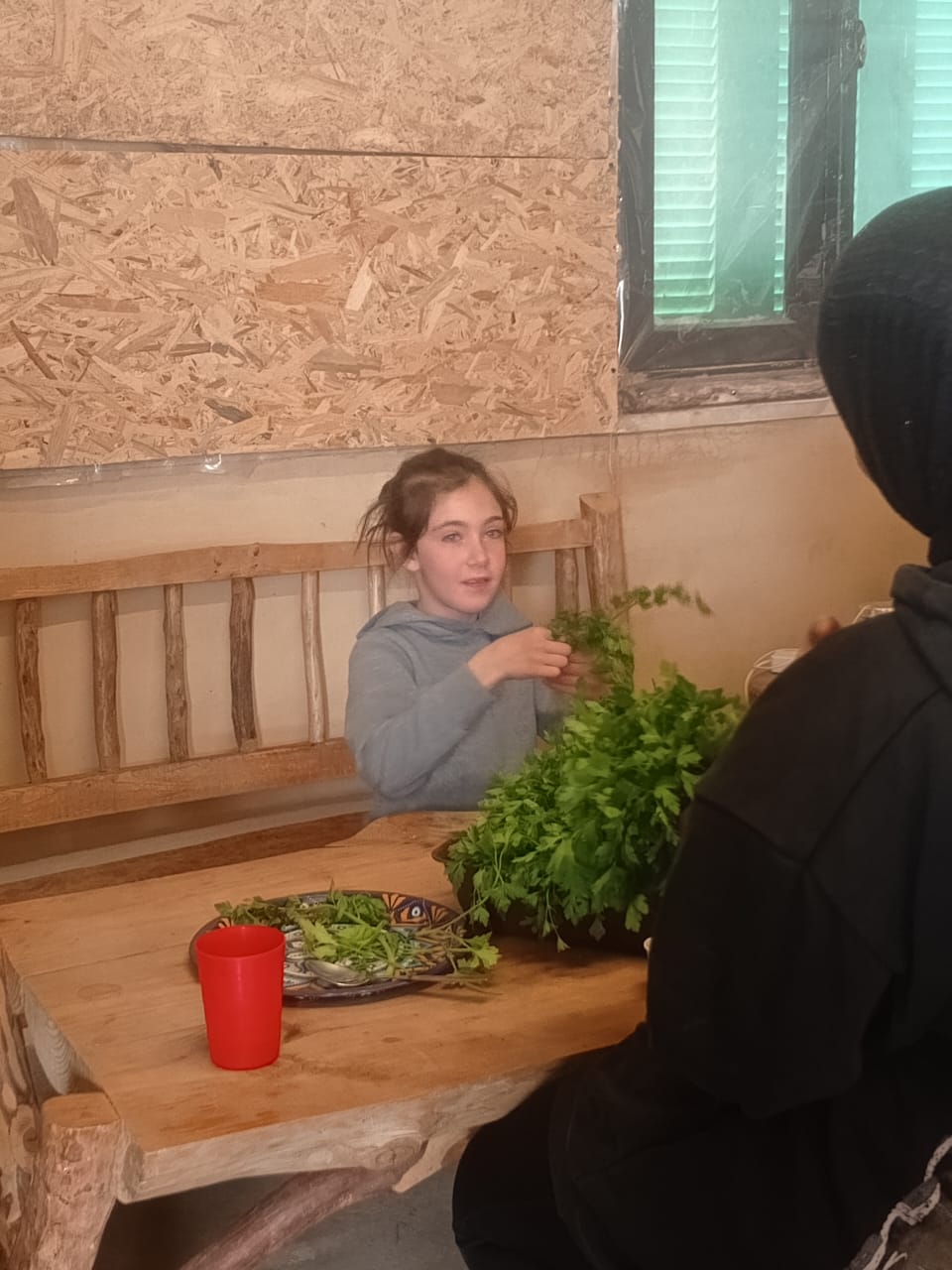 صورة المقالة