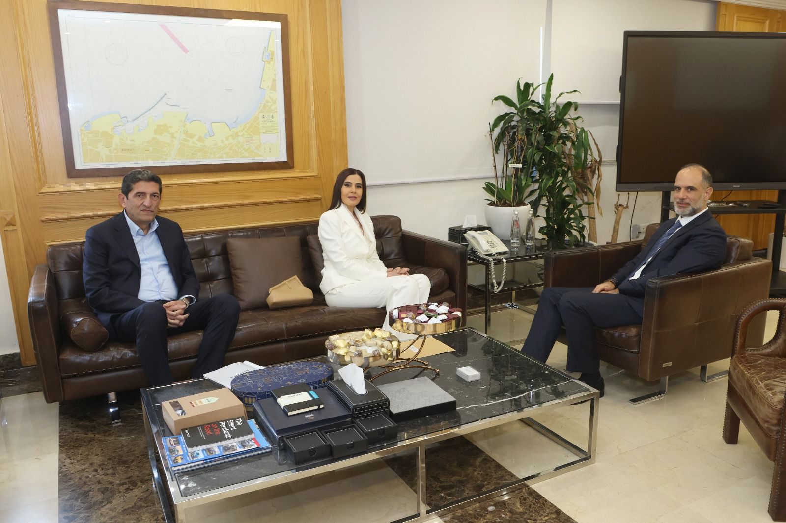 صورة المقالة