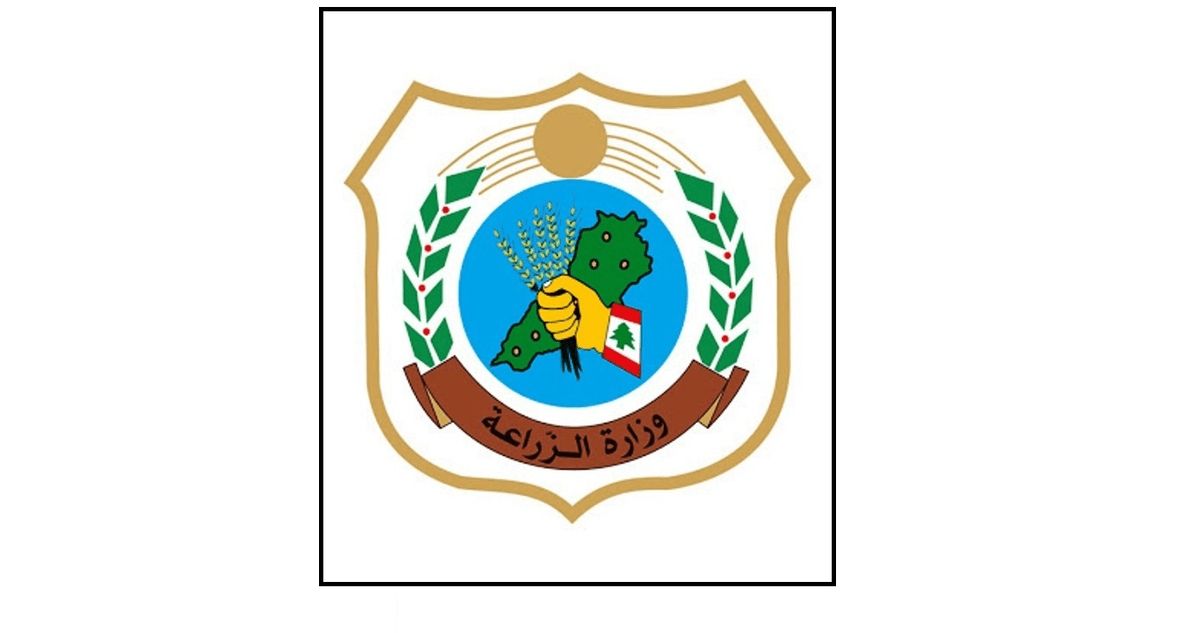 وزارة الزراعة تنشر متوسط أسعار الجملة والتجزئة للحوم والخضار والفاكهة والحليب