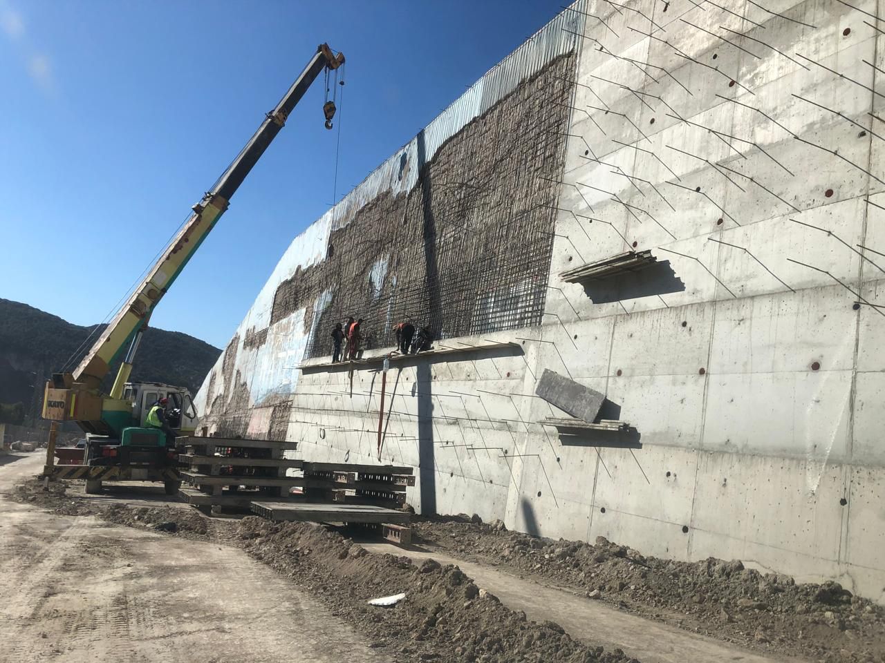 صورة المقالة