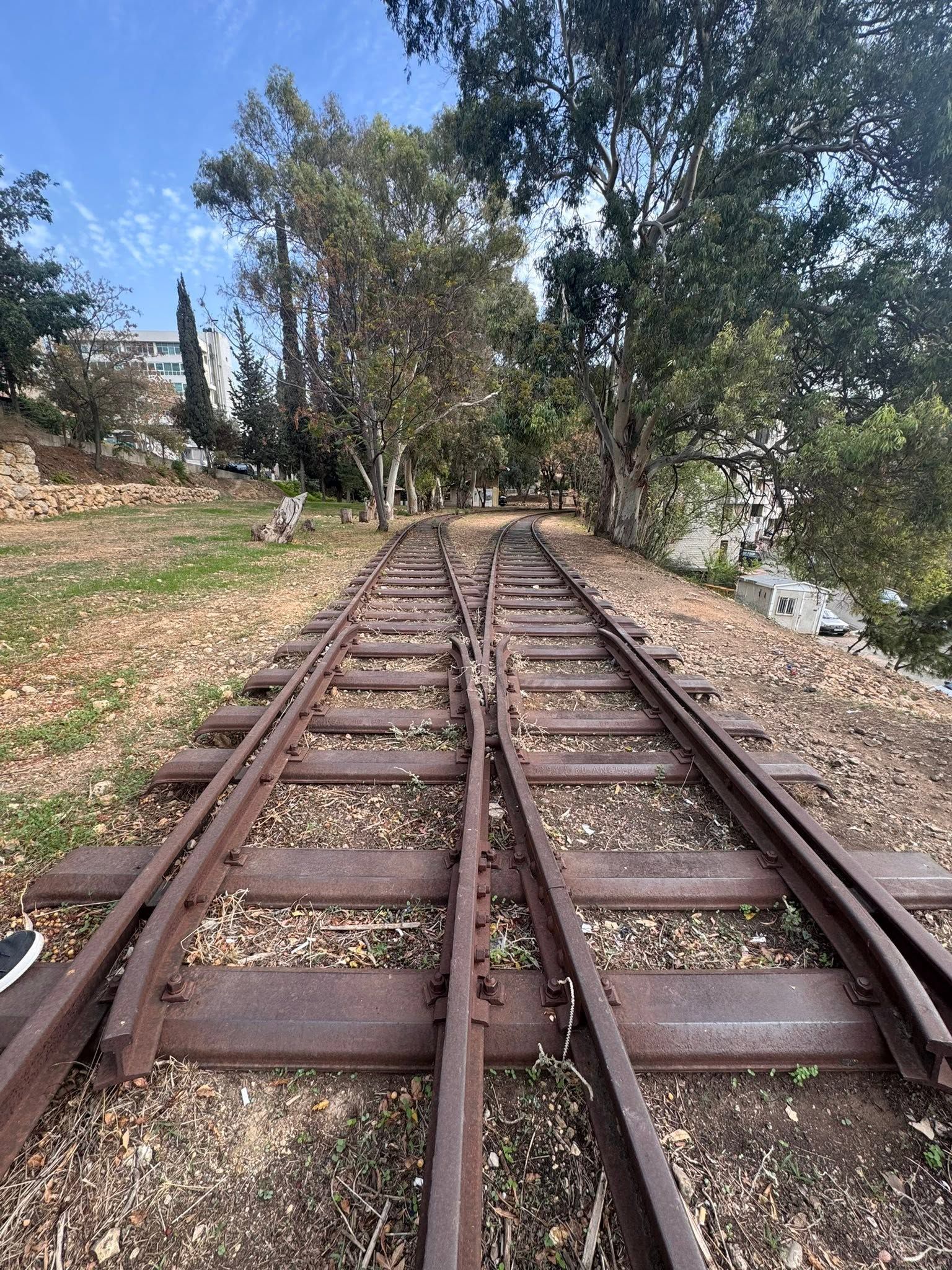 صورة المقالة