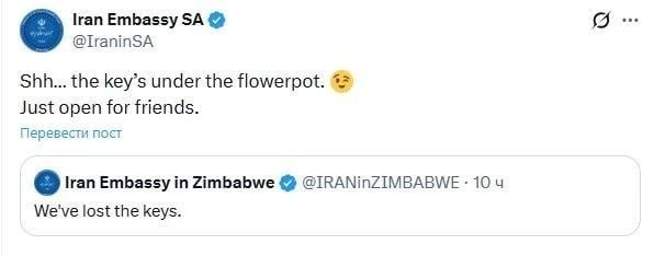 صورة المقالة