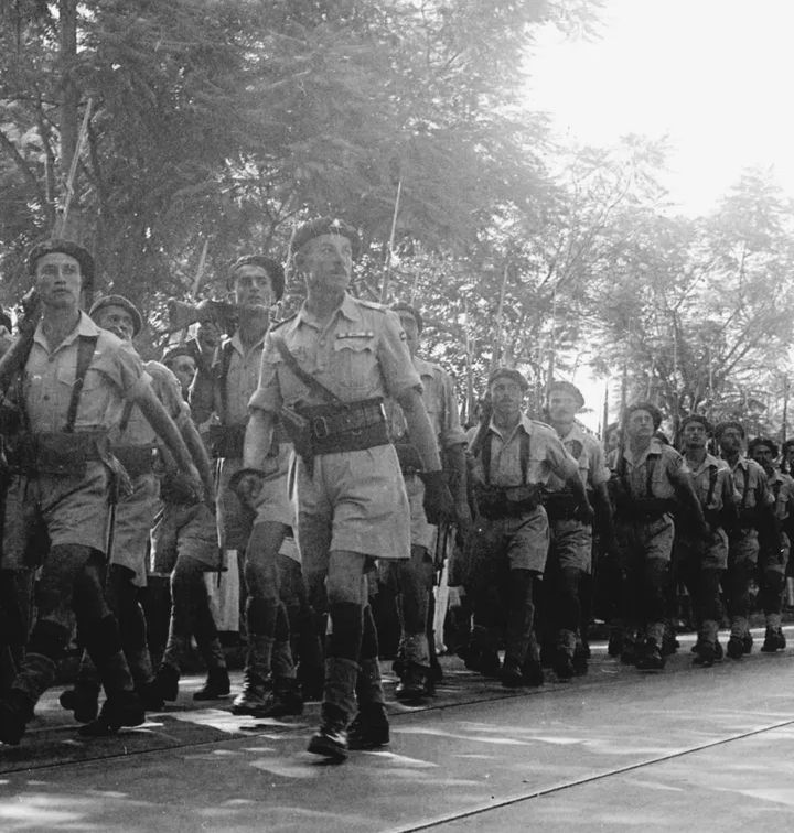 صورة المقالة