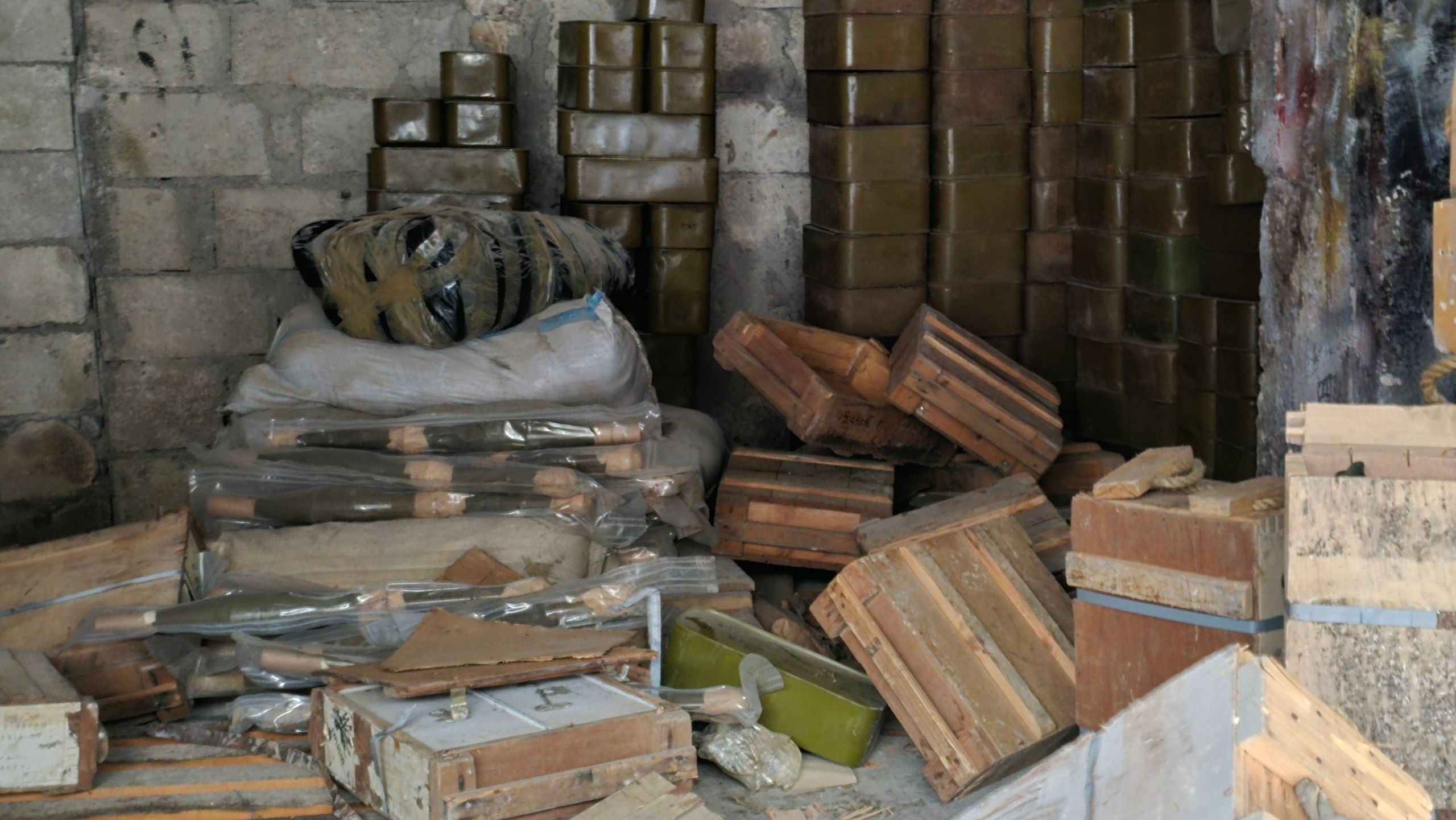 صورة المقالة