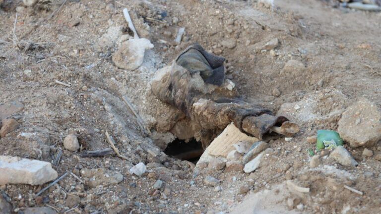 صورة المقالة