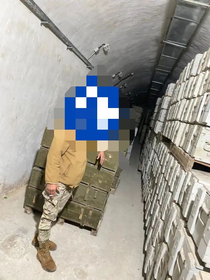 صورة المقالة