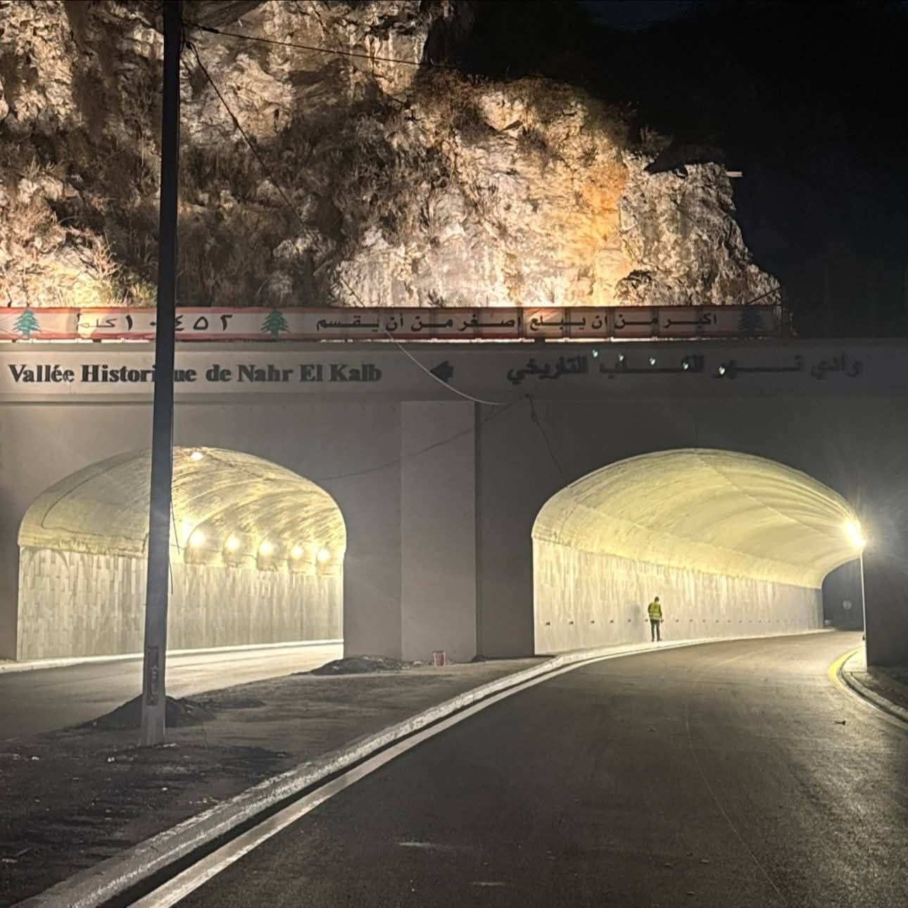 صورة المقالة