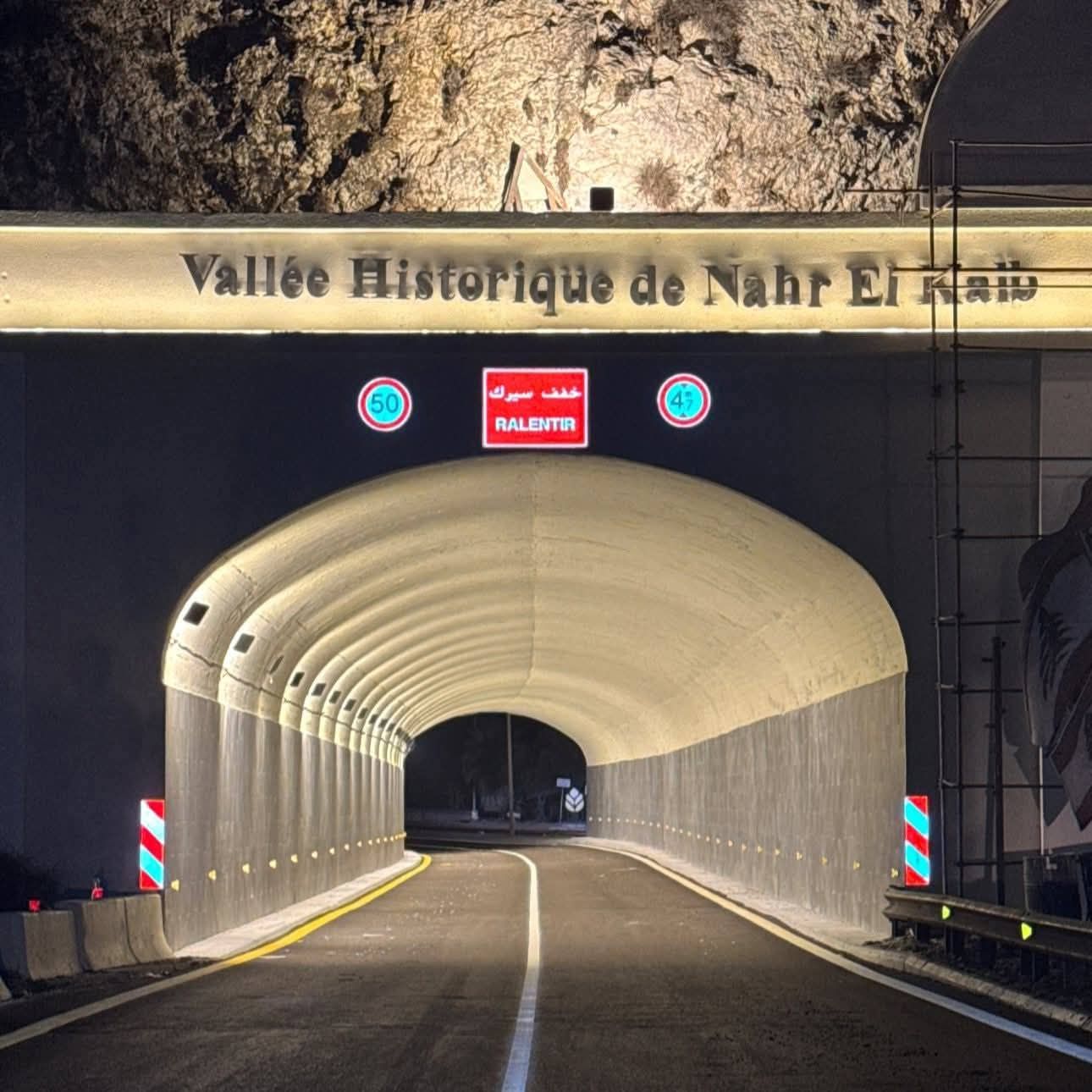 صورة المقالة