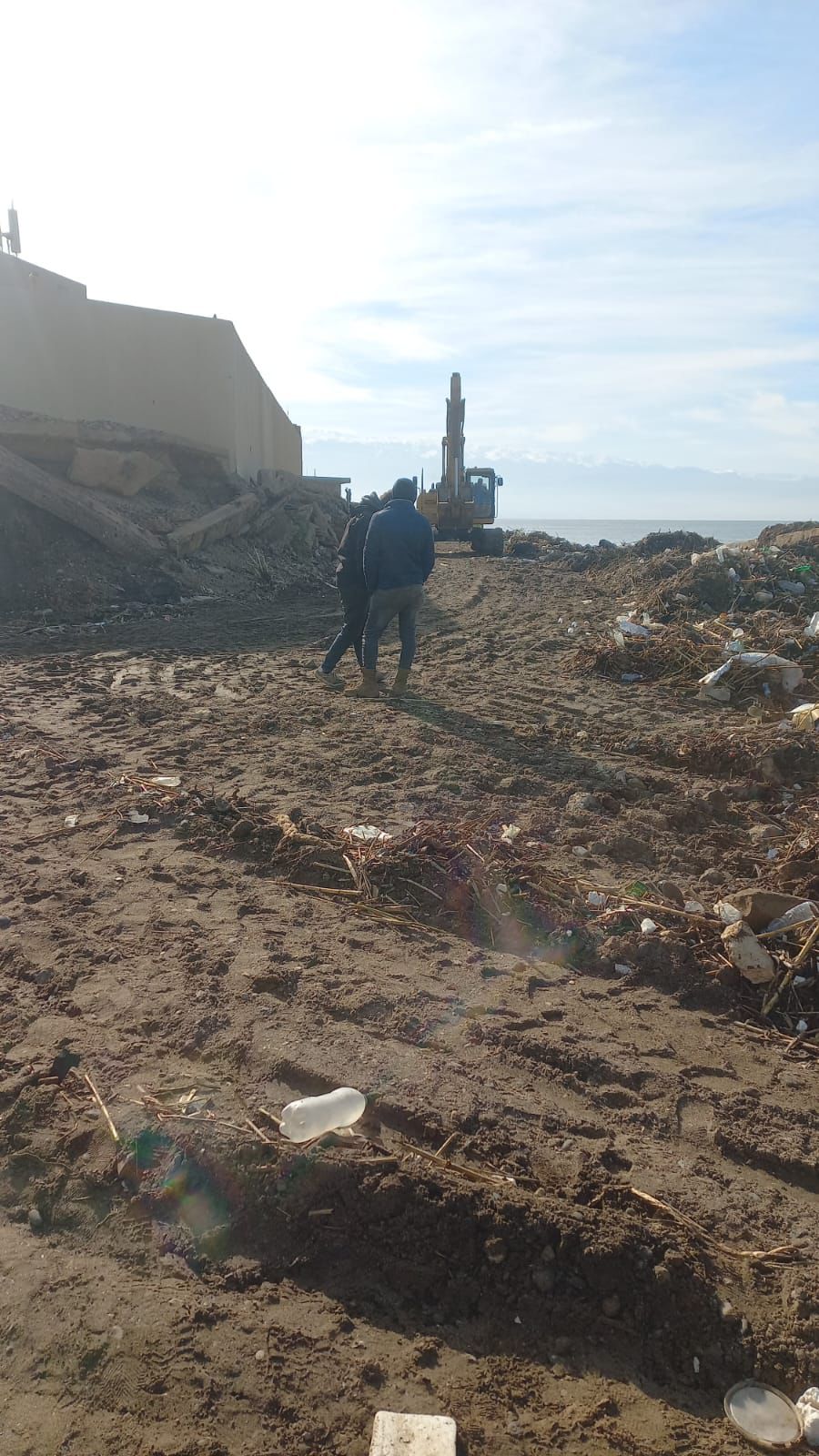 صورة المقالة