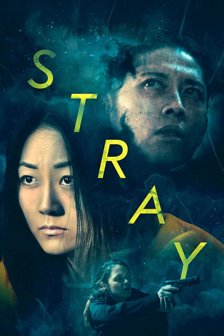 Stray poster