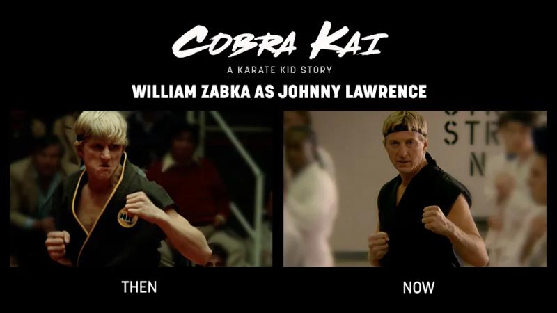 cobra kai a karate kid story william zobja as johnny lawrence