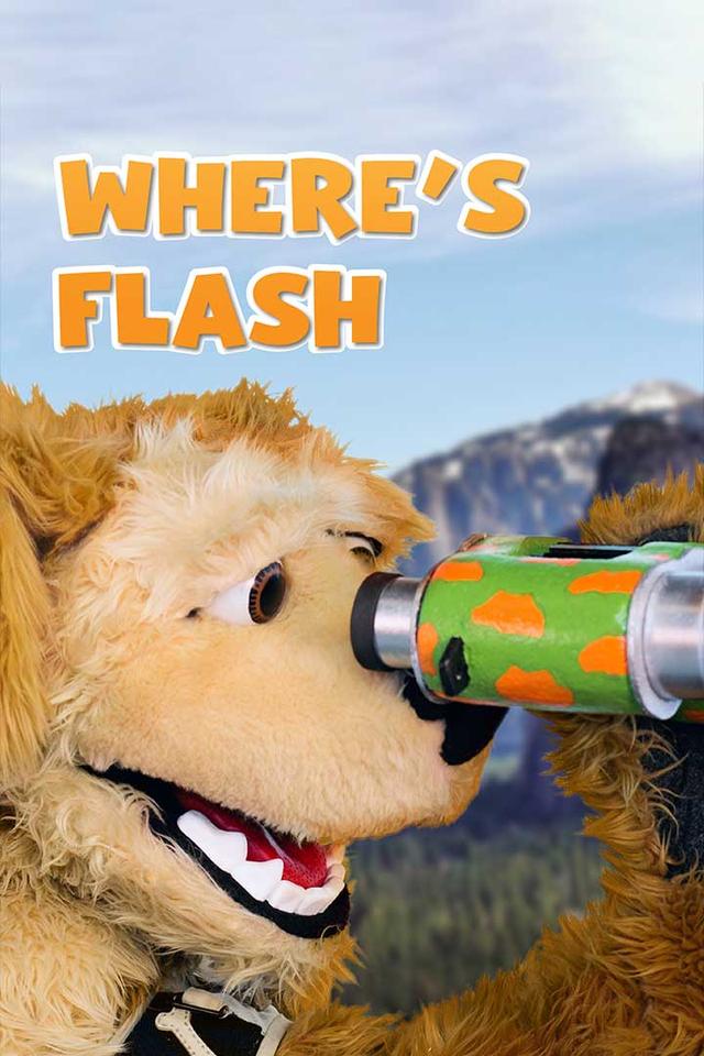 Where's Flash? poster