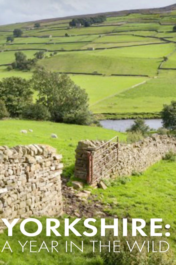 Yorkshire: A Year in the Wild poster