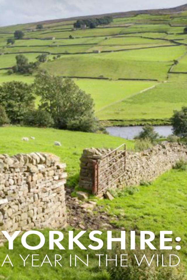 Yorkshire: A Year in the Wild poster