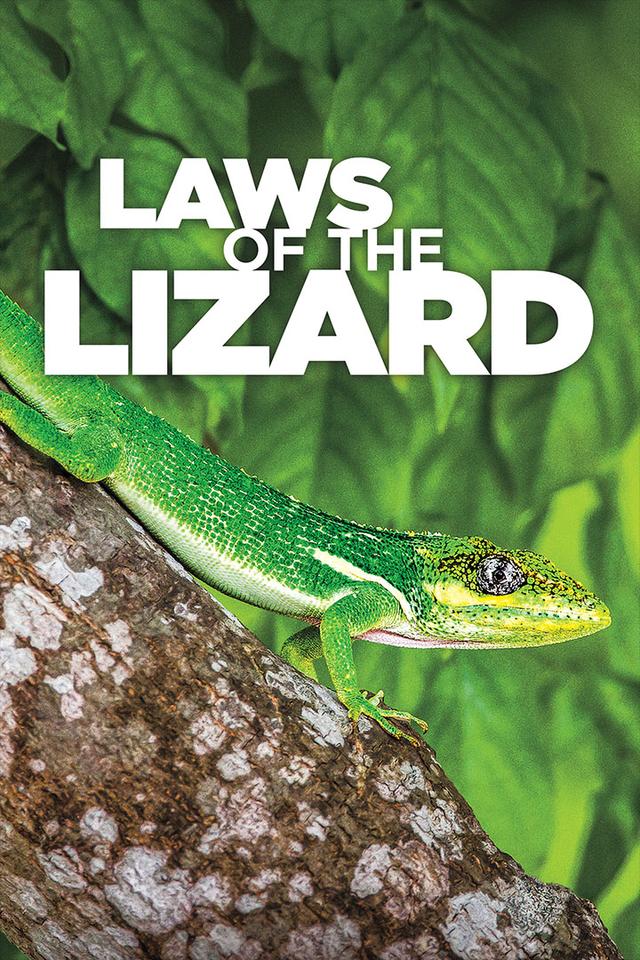 Laws of the Lizard poster