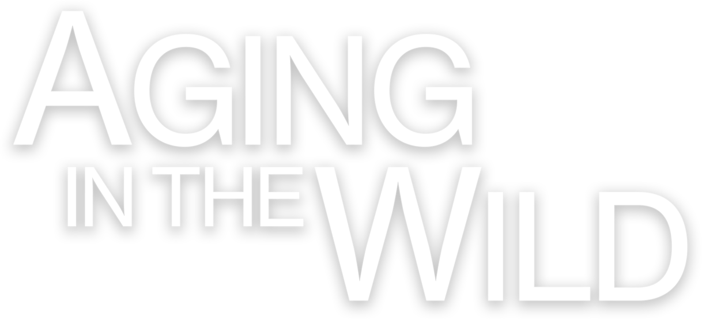 Aging in the Wild