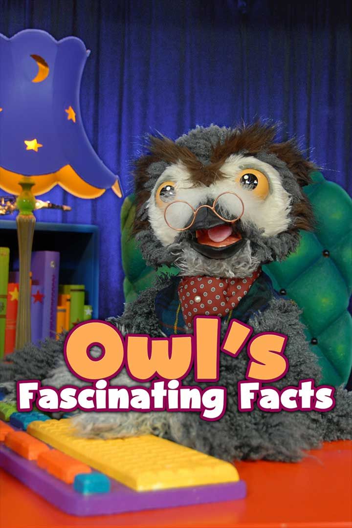 Owl's Fascinating Facts poster