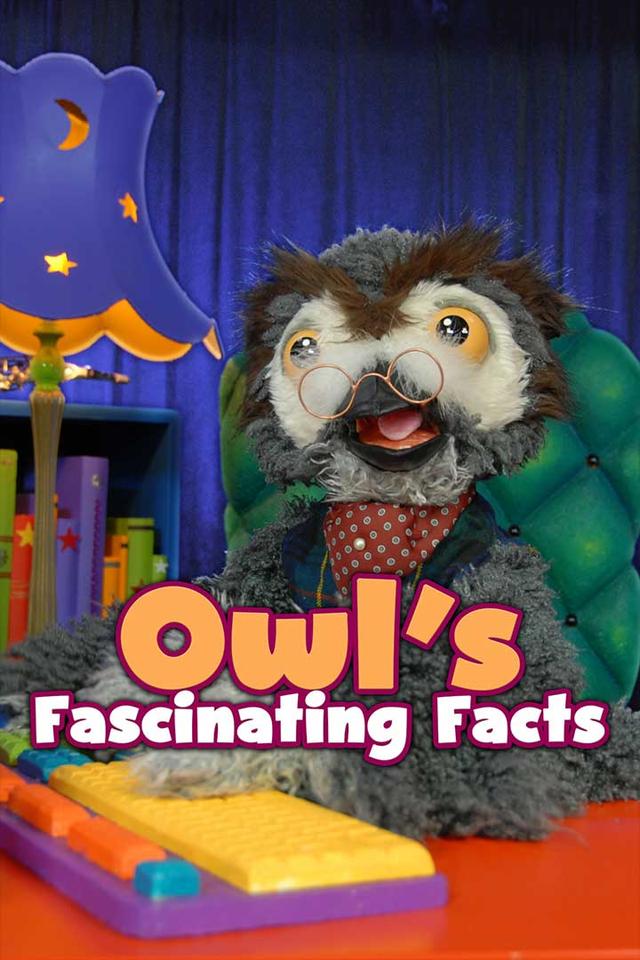 Owl's Fascinating Facts poster