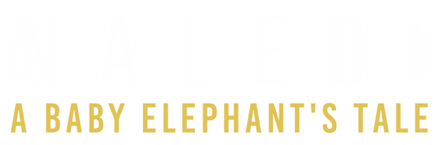 Naledi: A Baby Elephant's Tale