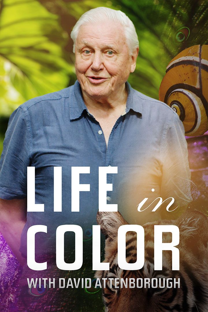 Life in Color with David Attenborough poster