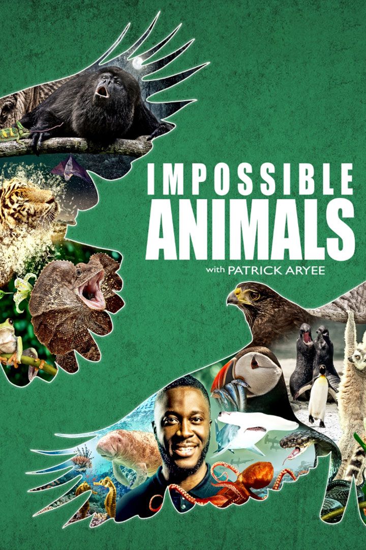 Impossible Animals poster