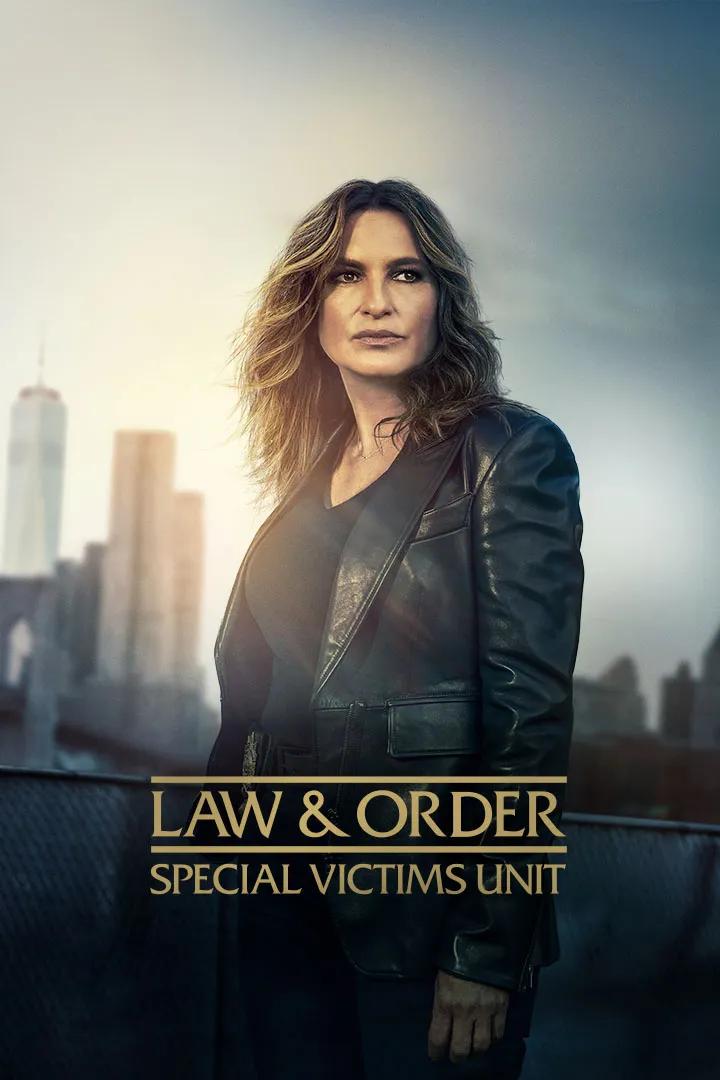 Law & Order: Special Victims Unit poster