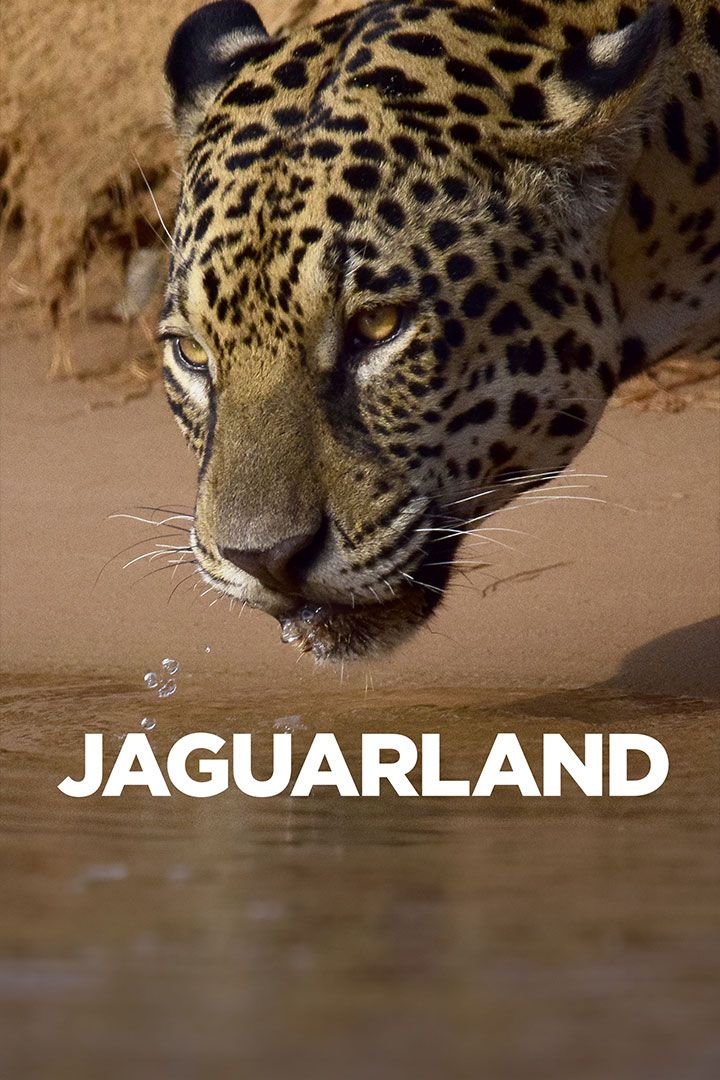 Jaguarland poster