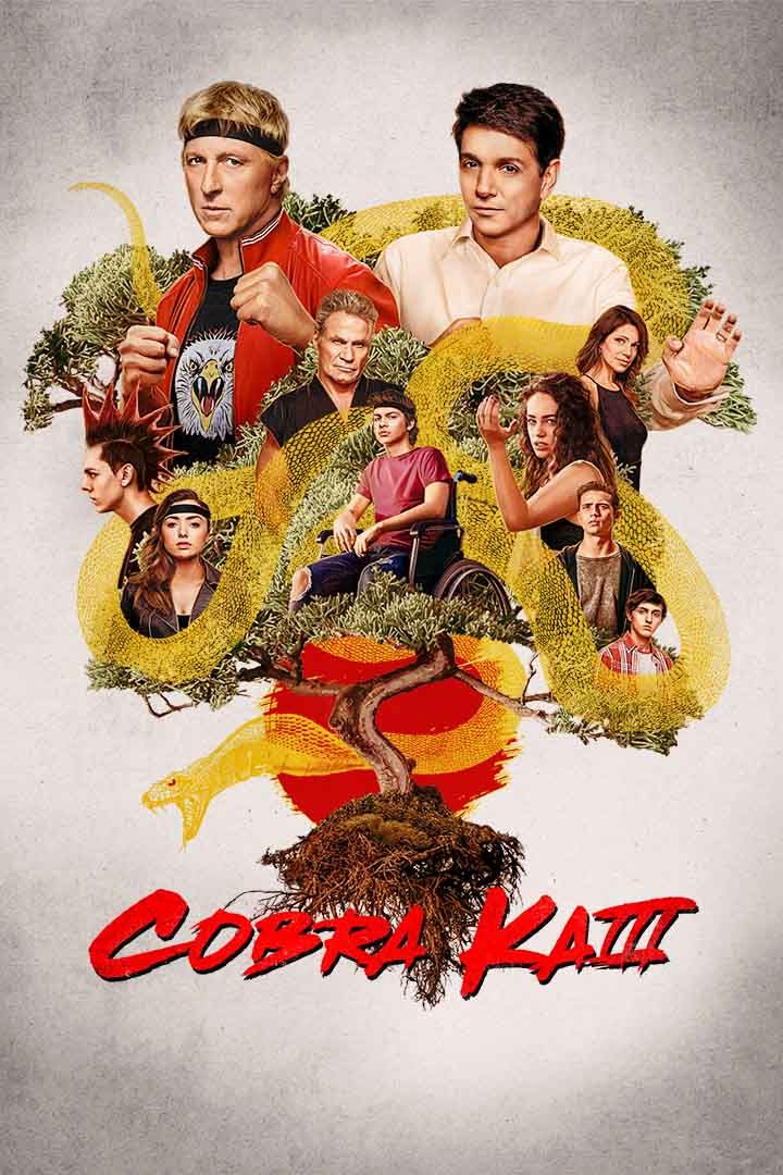 Cobra Kai poster