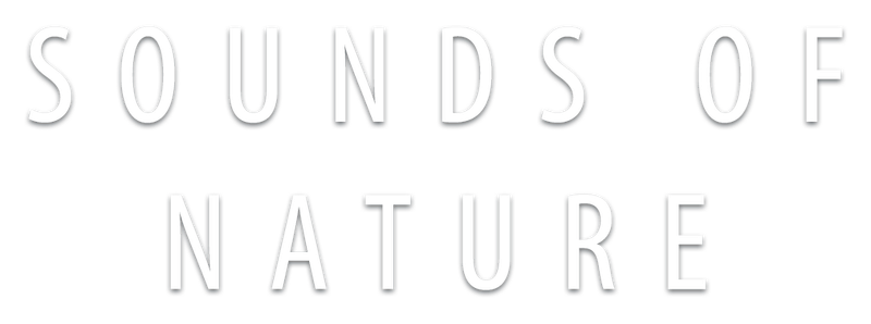 Sounds Of Nature