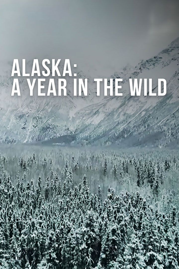 Alaska: A Year In The Wild poster