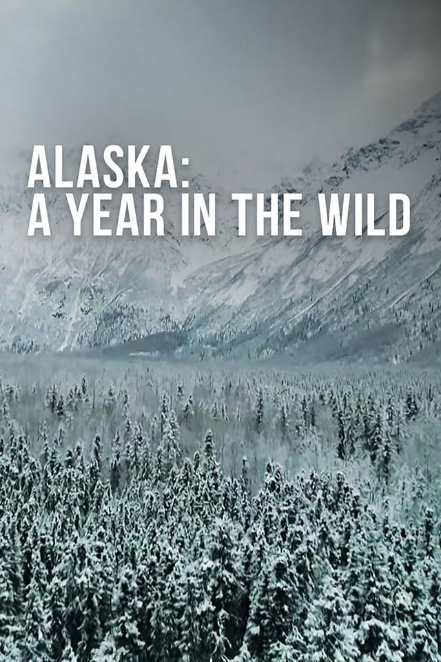 Alaska: A Year In The Wild poster
