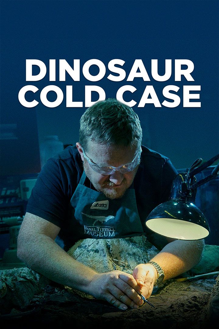 Dinosaur Cold Case poster