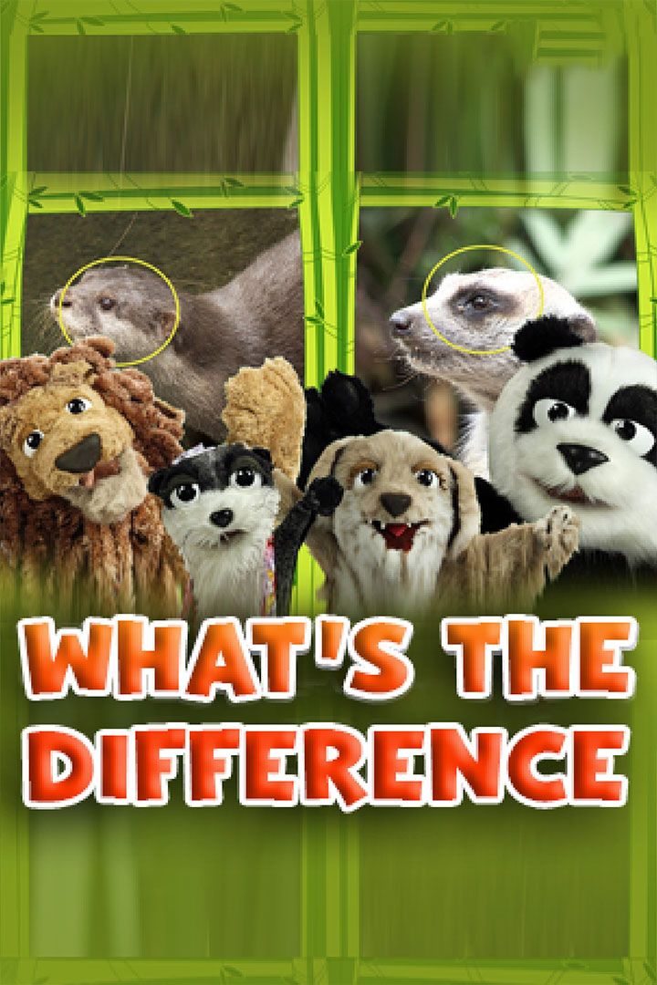 What's the Difference? poster